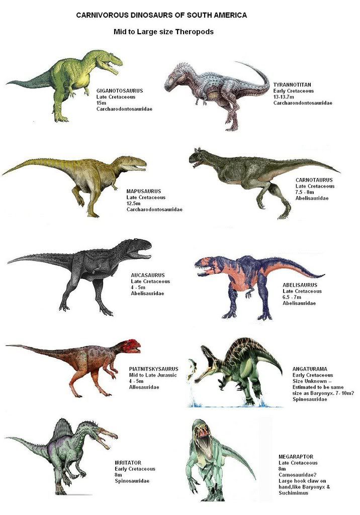 encyclopedia of dinosaurs the theropods